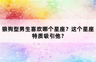 狼狗型男生喜欢哪个星座？这个星座特质吸引他？