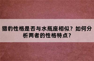 猎豹性格是否与水瓶座相似？如何分析两者的性格特点？