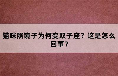 猫咪照镜子为何变双子座？这是怎么回事？