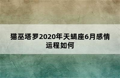 猫巫塔罗2020年天蝎座6月感情运程如何