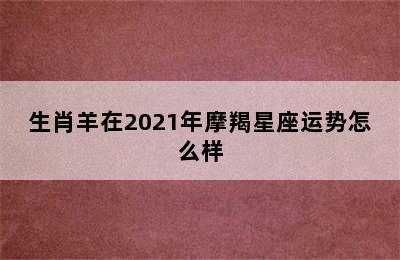 生肖羊在2021年摩羯星座运势怎么样