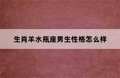 生肖羊水瓶座男生性格怎么样