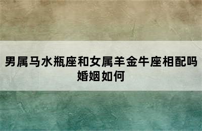 男属马水瓶座和女属羊金牛座相配吗婚姻如何