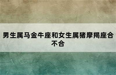 男生属马金牛座和女生属猪摩羯座合不合