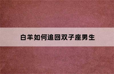 白羊如何追回双子座男生