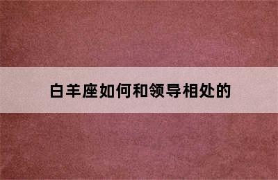 白羊座如何和领导相处的