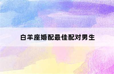 白羊座婚配最佳配对男生