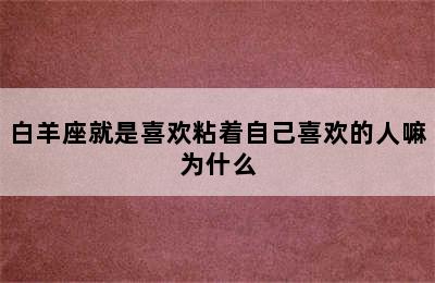 白羊座就是喜欢粘着自己喜欢的人嘛为什么