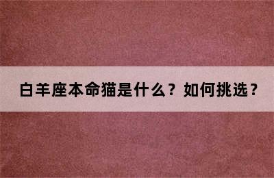 白羊座本命猫是什么？如何挑选？