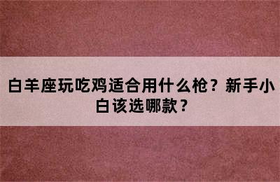 白羊座玩吃鸡适合用什么枪？新手小白该选哪款？