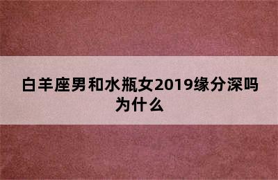 白羊座男和水瓶女2019缘分深吗为什么