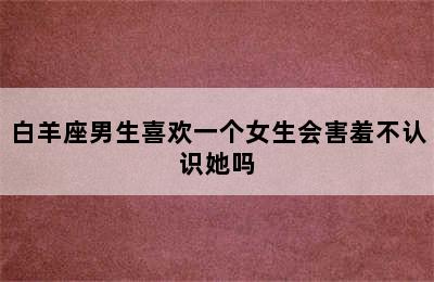 白羊座男生喜欢一个女生会害羞不认识她吗