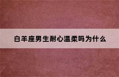 白羊座男生耐心温柔吗为什么