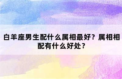 白羊座男生配什么属相最好？属相相配有什么好处？