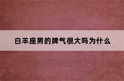 白羊座男的脾气很大吗为什么