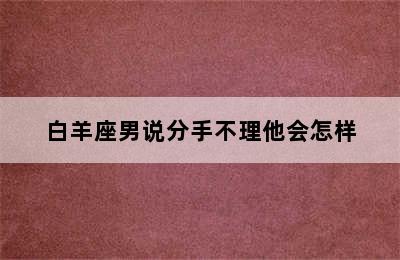 白羊座男说分手不理他会怎样