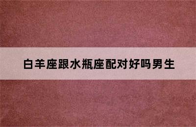 白羊座跟水瓶座配对好吗男生