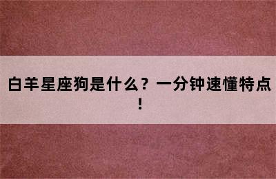 白羊星座狗是什么？一分钟速懂特点！
