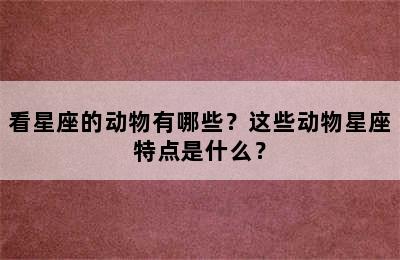 看星座的动物有哪些？这些动物星座特点是什么？