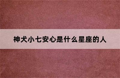 神犬小七安心是什么星座的人