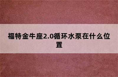 福特金牛座2.0循环水泵在什么位置