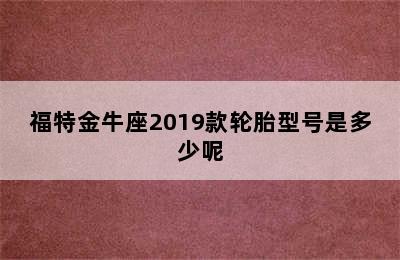 福特金牛座2019款轮胎型号是多少呢