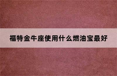 福特金牛座使用什么燃油宝最好