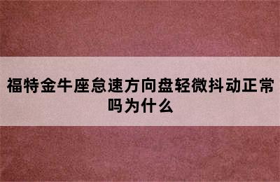 福特金牛座怠速方向盘轻微抖动正常吗为什么