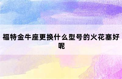 福特金牛座更换什么型号的火花塞好呢