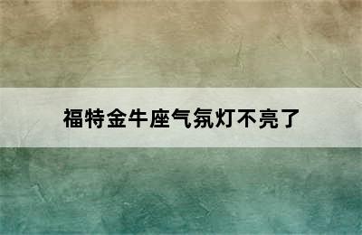 福特金牛座气氛灯不亮了