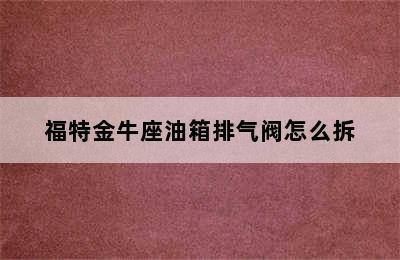 福特金牛座油箱排气阀怎么拆