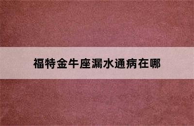 福特金牛座漏水通病在哪