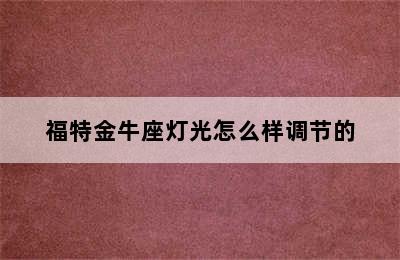 福特金牛座灯光怎么样调节的