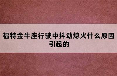 福特金牛座行驶中抖动熄火什么原因引起的