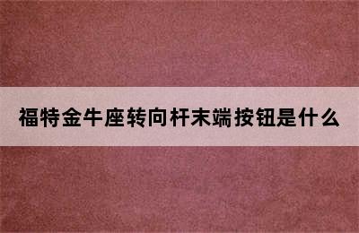 福特金牛座转向杆末端按钮是什么