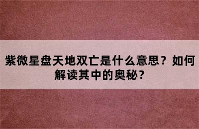紫微星盘天地双亡是什么意思？如何解读其中的奥秘？