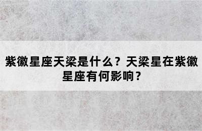 紫徽星座天梁是什么？天梁星在紫徽星座有何影响？
