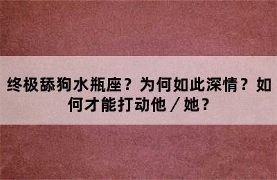 终极舔狗水瓶座？为何如此深情？如何才能打动他／她？