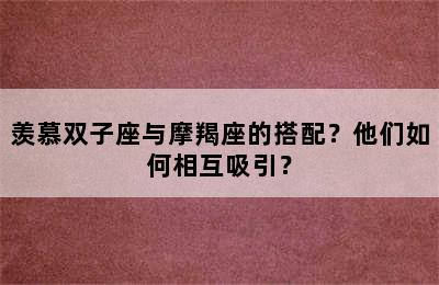 羡慕双子座与摩羯座的搭配？他们如何相互吸引？
