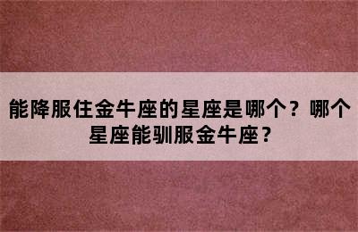 能降服住金牛座的星座是哪个？哪个星座能驯服金牛座？