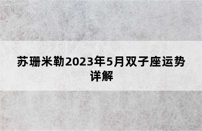 苏珊米勒2023年5月双子座运势详解