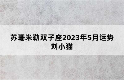 苏珊米勒双子座2023年5月运势刘小猫