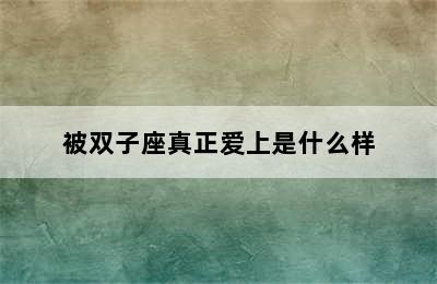 被双子座真正爱上是什么样