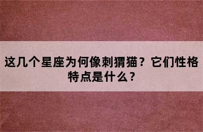 这几个星座为何像刺猬猫？它们性格特点是什么？