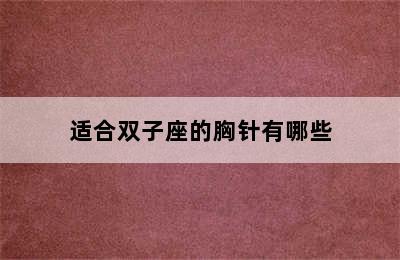 适合双子座的胸针有哪些