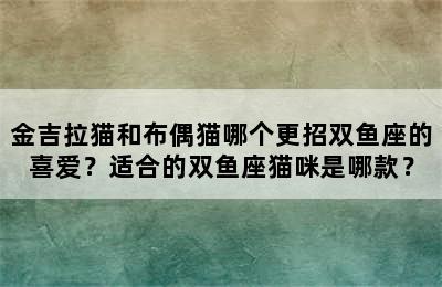 金吉拉猫和布偶猫哪个更招双鱼座的喜爱？适合的双鱼座猫咪是哪款？
