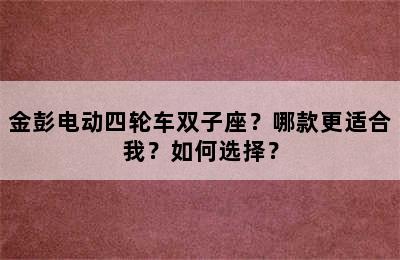 金彭电动四轮车双子座？哪款更适合我？如何选择？