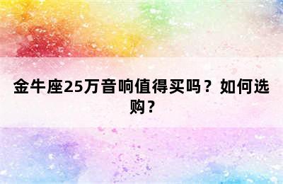 金牛座25万音响值得买吗？如何选购？