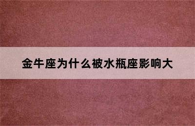 金牛座为什么被水瓶座影响大