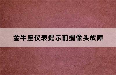 金牛座仪表提示前摄像头故障